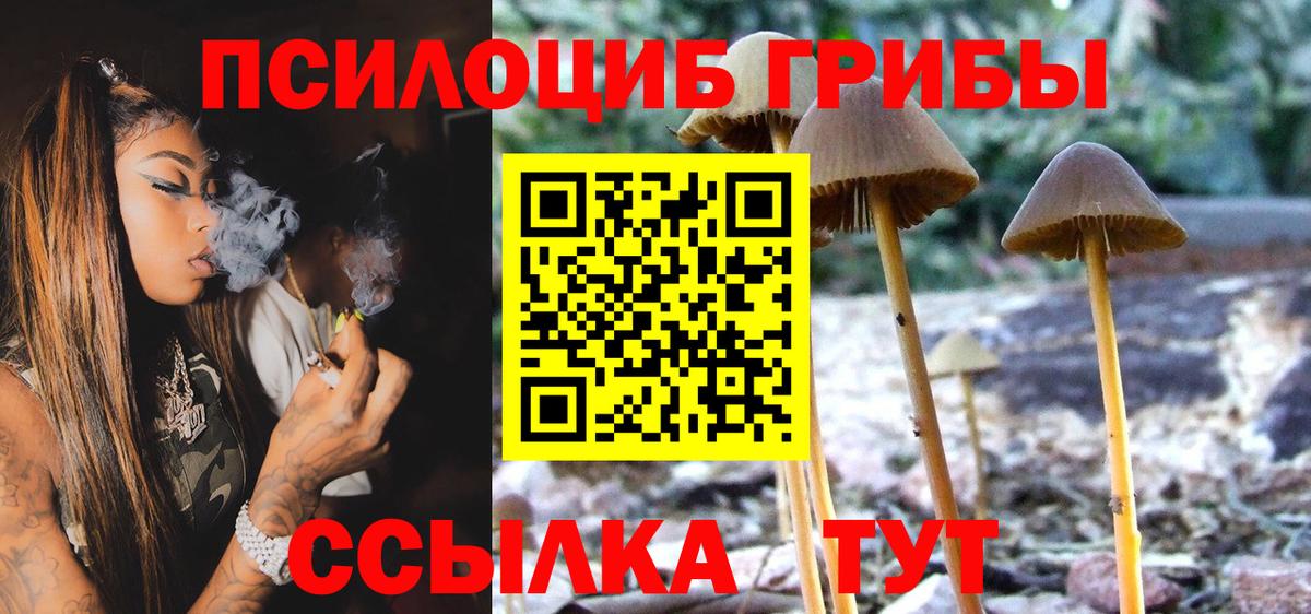 Псилоцибиновые грибы Psilocybe  Вход с VPN  Улан-Удэ 