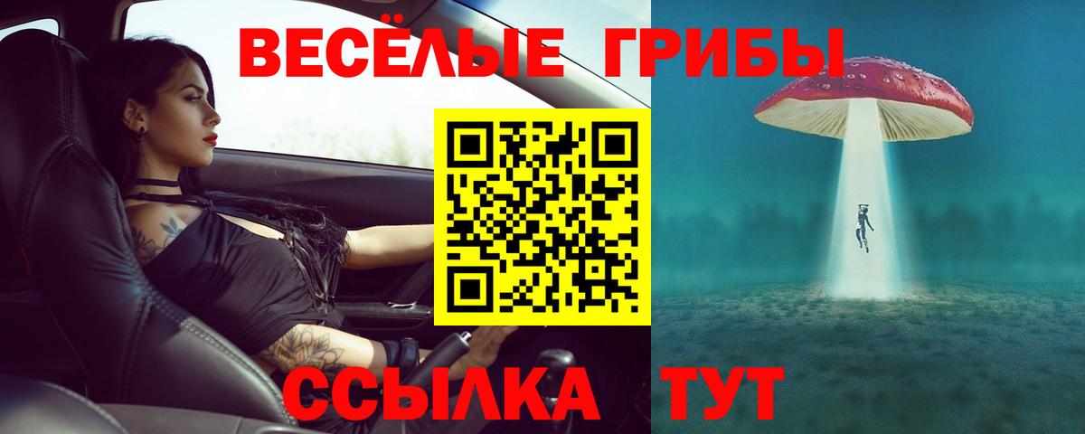 Галлюциногенные грибы мухоморы Улан-Удэ